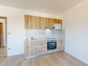 Pronájem bytu 1+kk, Senožaty, 31 m2