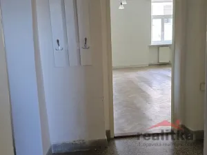 Pronájem bytu 1+1, Opava - Město, U Fortny, 55 m2