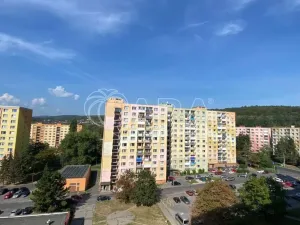 Prodej bytu 2+1, Chomutov, Dřínovská, 61 m2