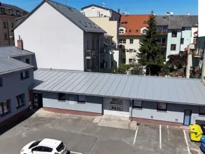 Pronájem obchodního prostoru, Plzeň, Wenzigova, 270 m2