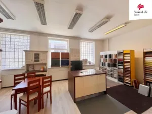 Pronájem obchodního prostoru, Plzeň, Wenzigova, 270 m2