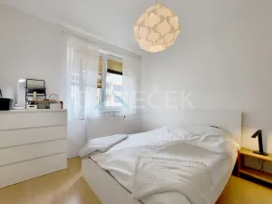 Pronájem bytu 2+kk, Brno, Leskauerova, 54 m2