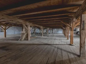 Prodej výrobních prostor, Stod, Domažlická, 9000 m2
