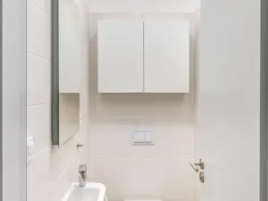 Pronájem bytu 4+kk, Praha - Karlín, U Mlýnského kanálu, 87 m2