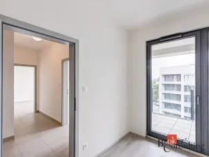 Pronájem bytu 4+kk, Praha - Karlín, U Mlýnského kanálu, 87 m2
