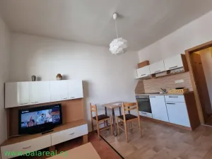Pronájem bytu 1+1, Brno - Husovice, Elgartova, 32 m2