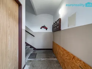 Pronájem bytu 1+1, Kraslice, Rybná, 30 m2