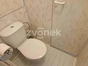 Pronájem bytu 3+1, Uherské Hradiště, 28. října, 70 m2