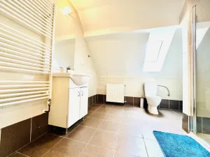Prodej vícegeneračního domu, Chlumany, 200 m2