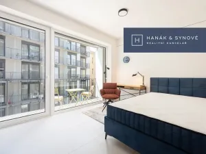 Pronájem bytu 1+kk, Brno, Koliště, 22 m2
