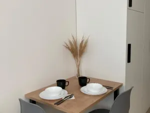 Pronájem bytu 1+kk, Praha - Smíchov, Plzeňská, 20 m2