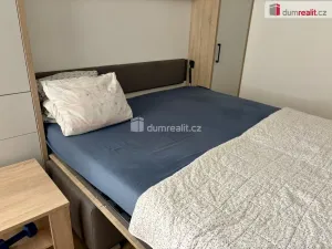 Pronájem rodinného domu, Mariánské Lázně - Hamrníky, třída Vítězství, 31 m2