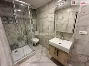 Pronájem rodinného domu, Mariánské Lázně - Hamrníky, třída Vítězství, 31 m2