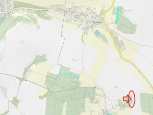 Prodej lesa, Slabčice, 744 m2