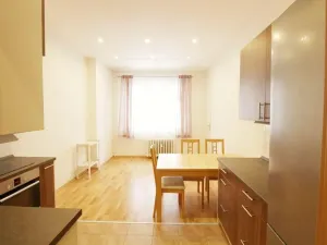 Prodej bytu 1+1, Praha - Karlín, Křižíkova, 46 m2