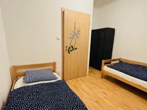 Pronájem bytu 5+kk, Brno, Čejkova, 104 m2