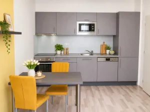 Pronájem bytu 2+kk, Brno - Slatina, Kigginsova, 42 m2