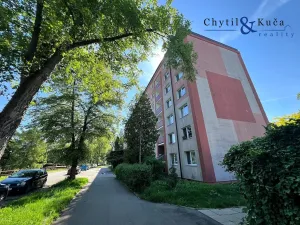 Pronájem bytu 1+1, Přerov, U Tenisu, 42 m2