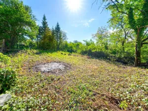 Prodej zahrady, Brno - Černovice, Vinohradská, 1746 m2