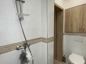 Prodej bytu 1+kk, Opava - Předměstí, Alšova, 15 m2