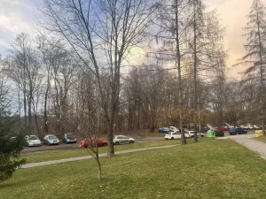 Prodej bytu 1+kk, Ostrava - Zábřeh, Petruškova, 28 m2