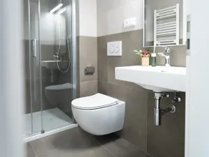 Pronájem bytu 1+kk, Praha - Žižkov, Jeronýmova, 30 m2