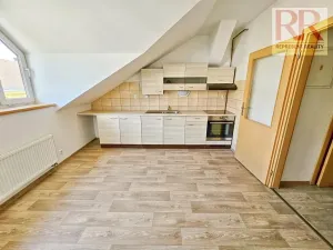 Pronájem bytu 2+kk, Plzeň, Skrétova, 46 m2