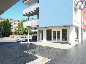 Pronájem obchodního prostoru, Písek, Čechova, 50 m2