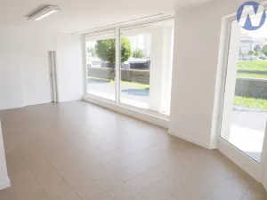Pronájem obchodního prostoru, Písek, Čechova, 50 m2