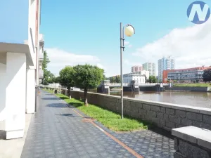 Pronájem obchodního prostoru, Písek, Čechova, 50 m2
