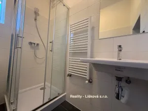 Pronájem bytu 2+1, Ústí nad Labem - Střekov, Purkyňova, 59 m2