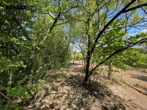 Pronájem zahrady, Lipník nad Bečvou, 851 m2