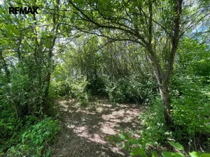 Pronájem zahrady, Lipník nad Bečvou, 851 m2