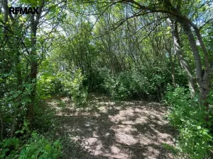 Pronájem zahrady, Lipník nad Bečvou, 851 m2