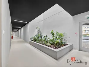 Pronájem bytu 1+kk, Plzeň, 27 m2