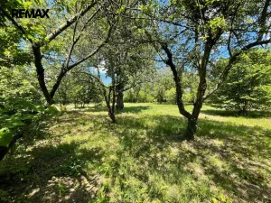 Pronájem zahrady, Lipník nad Bečvou, 2982 m2