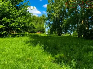 Prodej pozemku pro bydlení, Cvikov - Trávník, 5479 m2