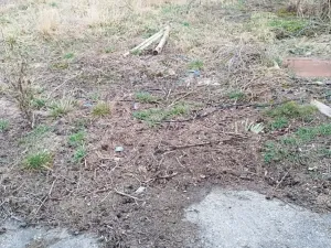 Pronájem pozemku, Určice, 400 m2