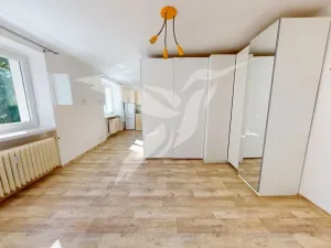 Pronájem bytu 1+kk, Plzeň, Kyjevská, 30 m2