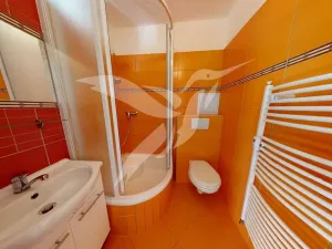 Pronájem bytu 1+kk, Plzeň, Kyjevská, 30 m2