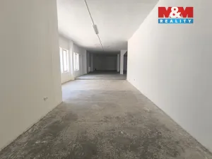 Pronájem obchodního prostoru, Ústí nad Labem - Severní Terasa, Stříbrnická, 1286 m2