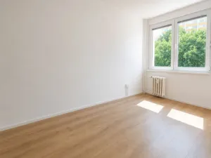 Pronájem bytu 3+1, Hradec Králové - Slezské Předměstí, Severní, 58 m2