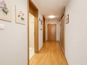 Pronájem bytu 2+kk, Praha - Žižkov, Pitterova, 61 m2