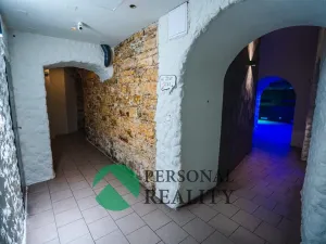 Pronájem restaurace, Praha - Smíchov, Preslova, 250 m2