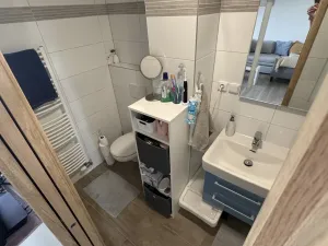 Pronájem bytu 2+kk, Brno, Klíny, 47 m2