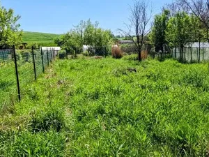 Prodej chaty, Jihlava, U Hřbitova, 21 m2