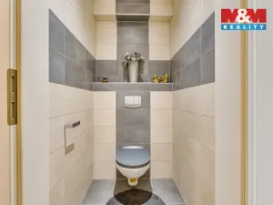 Prodej bytu 4+kk, Králův Dvůr - Levín, Na Lucberku, 141 m2