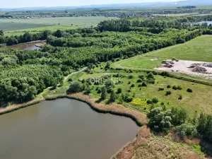 Prodej rybníku, Údlice, 2463 m2