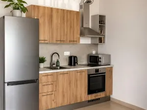 Pronájem bytu 1+kk, Praha - Žižkov, Olgy Havlové, 34 m2