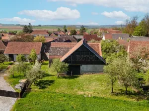 Prodej zemědělské usedlosti, Krasonice, 350 m2